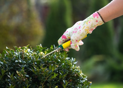 Landscape gardening in Woodford Green with elegant planting and patio design