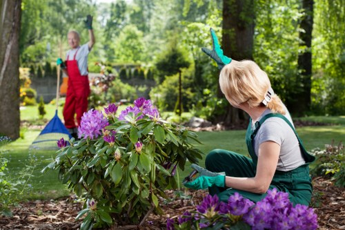 Garden safety policy introduction with a professional gardening approach