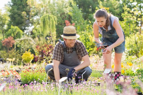 Gardening service terms and conditions introduction