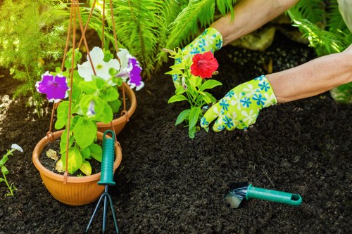 Garden landscaping in Woodford Green with patio and planting
