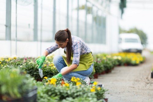 Professional garden care service focused on health and safety