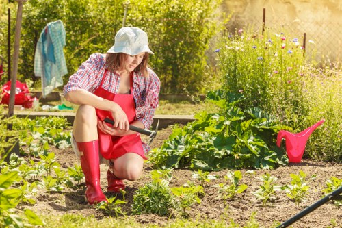 Gardeners in Woodford Green maintaining a healthy outdoor space