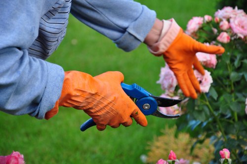 Gardening services in Woodford Green for tidy lawns and healthy outdoor spaces