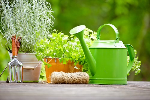 Seasonal lawn care and garden upkeep in Woodford Green