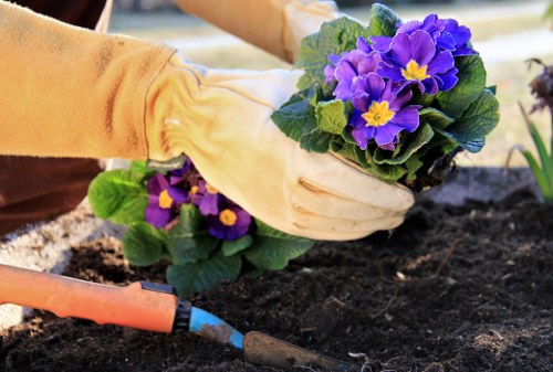 Marketing cookies for Gardeners in Woodford Green