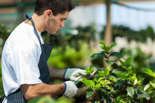 Property protection and safe work boundaries during garden tasks