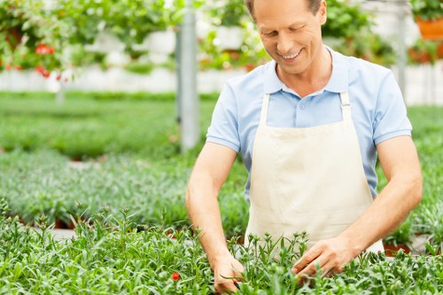 Professional garden care in Woodford Green for lawns, borders, and seasonal upkeep