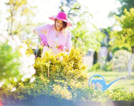 Team following safe gardening practices during maintenance work
