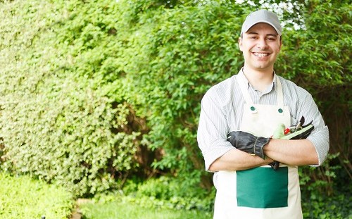 Payment, cancellation, and liability clauses for garden services