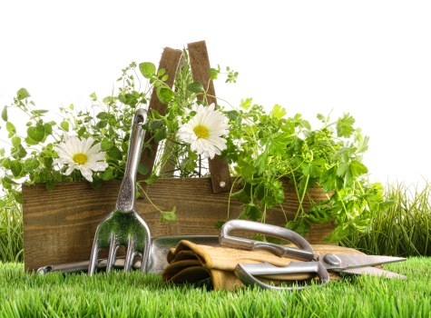 Back garden planting and lighting in Woodford Green for year-round beauty