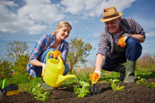 Professional gardening in Woodford Green improving lawn and shrubs