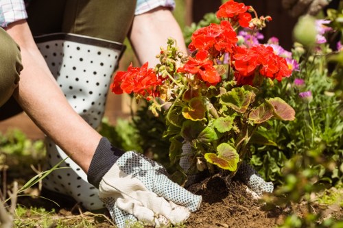 Eco-friendly gardening and recycling practices in Woodford Green