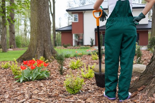 Local garden maintenance work in Woodford Green with pruning and plant care