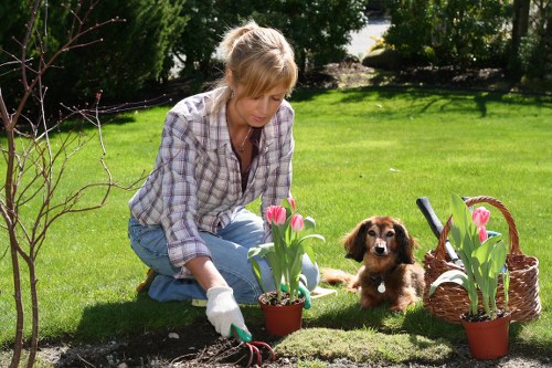 Charity partnership supporting reuse of garden materials