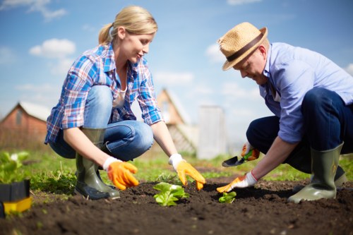 Regular hedge maintenance in Woodford Green for healthy growth