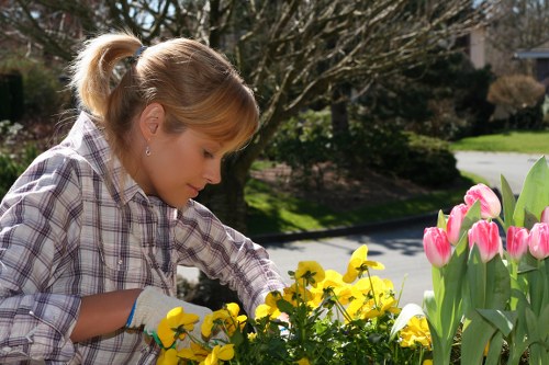 Well-kept Woodford Green garden cared for by local gardeners