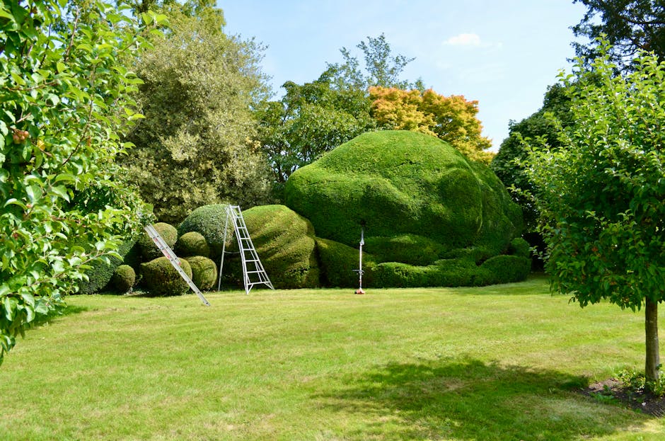 A well-maintained garden scene featuring a lush, green lawn with neatly trimmed grass in the foreground. On the left and right sides, there are small trees with dense, bright green foliage, framing th
