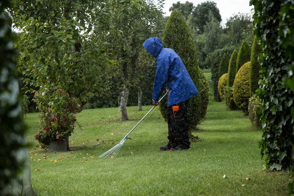 A person wearing a dark jacket is trimming or pruning bare, leafless branches of a shrub or hedge using a pair of garden pruning shears with blue handles. The garden features a neatly maintained borde
