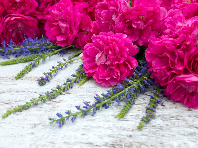 garden design landscape design